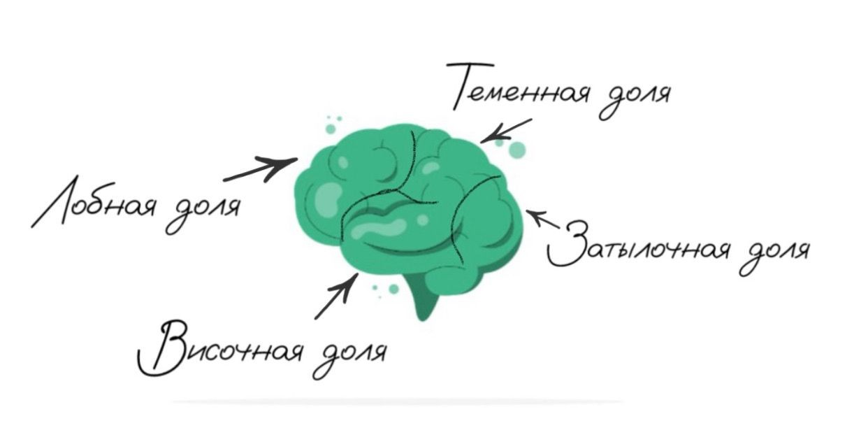 Нейробластома ЦНС у детей