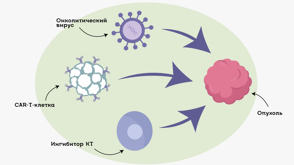 Виды иммунотерапии, которые применяются при опухолях мозга